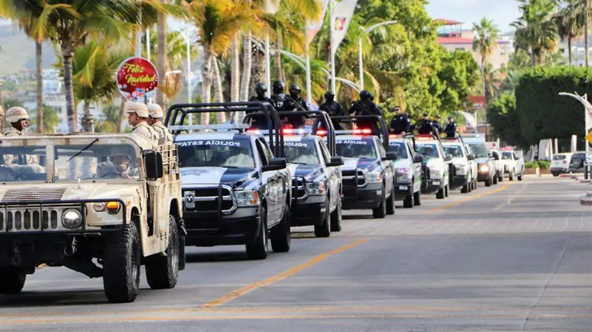 Policía estatal bcs